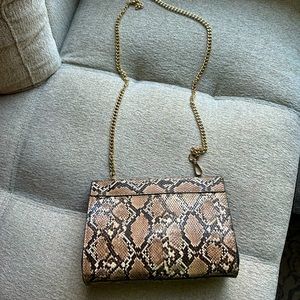 New Snakeskin Clutch.